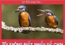 “NHÌN MẶT BẮT HÌNH DONG”