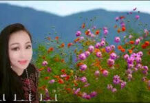 Ca khúc Có Bao giờ