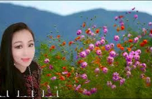 Ca khúc Có Bao giờ