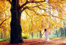 Em lay vạt nắng & Như hạt trời mưa