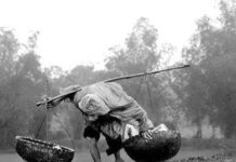 VÌ EM CŨNG LÀ MẸ