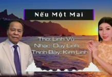 Nếu Một Mai
