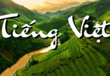 Cái chết của một ngôn ngữ: Tiếng Việt Sài Gòn cũ