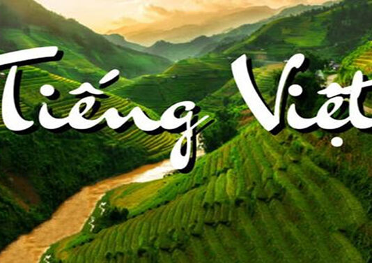Cái chết của một ngôn ngữ: Tiếng Việt Sài Gòn cũ