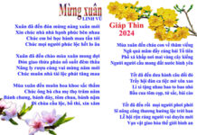 Mừng xuân Giáp Thìn 2024