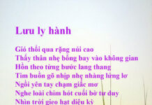 Lưu ly hành