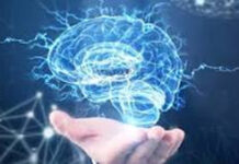 Trí tuệ Bát nhã. (Prajna)