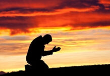 Tham, sân, si, kiêu mạn, nghi ngờ và tà kiến