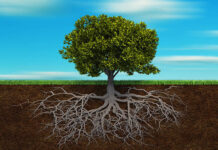 I- Gốc rễ của khổ là do bản ngã/”self”.