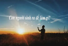 Con người sinh ra để làm gì?