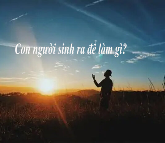 Con người sinh ra để làm gì?
